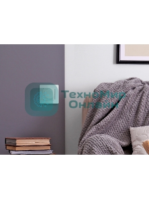 Рамка 1 пост. мятный Inspiria