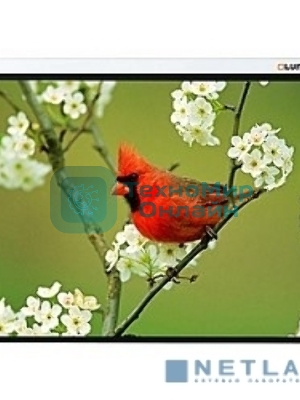 Экран Lumien 141x210 см Master Picture LMP-100133 16:10 настенно-потолочный рулонный