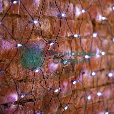 Гирлянда Neon-night 