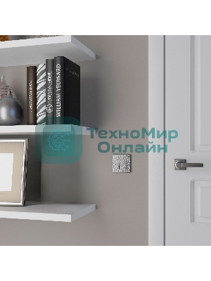 Рамка на 1 пост (серебряный) W0012406