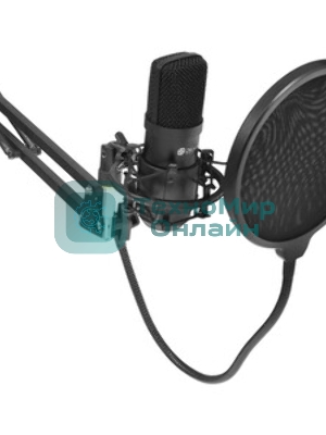 Микрофон проводной Оклик SM-700G 2.5м черный