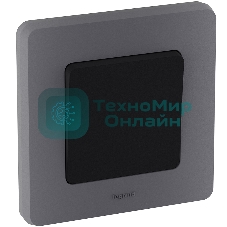 Рамка 1 пост. дымчатый Inspiria