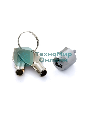 Винт-замок Exegate для боковой стенки корпуса EX269459RUS