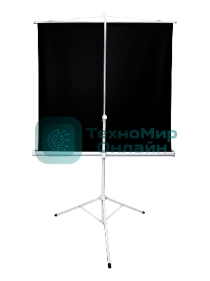 Экран 221x124.5см TriScreen 16:9 напольный рулонный белый100' Matt White (MW), серый корпус