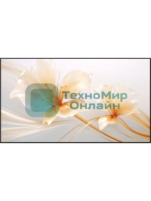 Экран на раме Xgimi 127.6x224.5 см 100