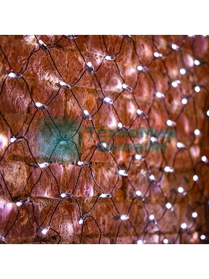 Гирлянда Neon-night Сеть 