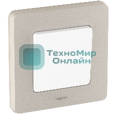 Рамка 1 пост шампань Inspiria