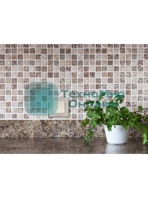 Рамка 1 пост шампань Inspiria