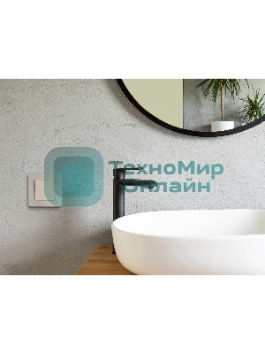 Рамка 1 пост шампань Inspiria