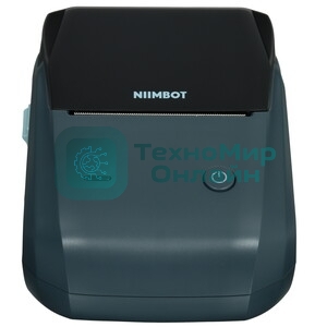 Термопринтер Niimbot B1 (1746795) 203dpi 50мм/с/USB/BT для печ.этик. серый