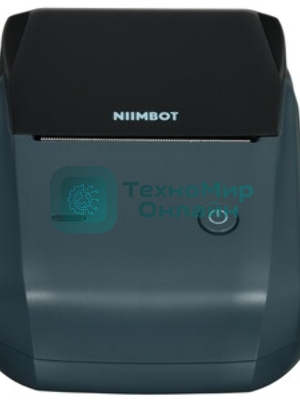 Термопринтер Niimbot B1 (1746795) 203dpi 50мм/с/USB/BT для печ.этик. серый