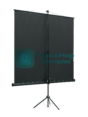 Экран на треноге Lumien 180x180 см Eco View LEV-100102 1:1 напольный рулонный