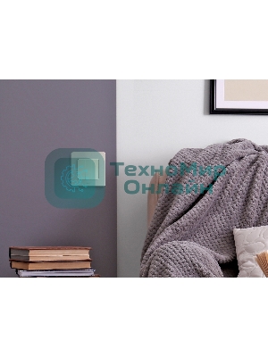 Рамка 1 пост шампань Inspiria