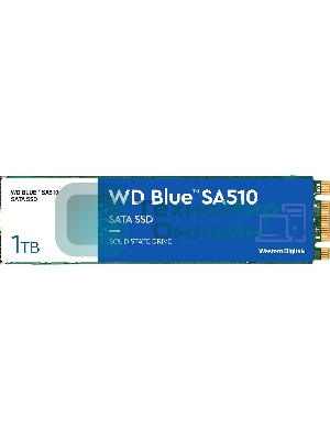 Накопитель SSD WD Blue SA510 WDS100T3B0B, 1Tb, SATA III, M.2 2280, R/W 560/520
