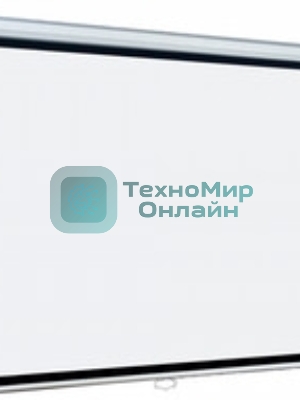 Экран Lumien 214x214см Eco Picture LEP-100110 1:1 настенно-потолочный рулонный