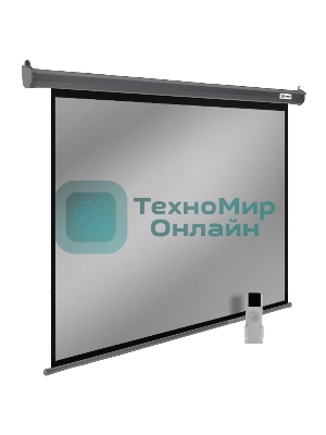 Экран для проектора Cactus SIlverMotoExpert CS-PSSME-300X188-DG, 139 