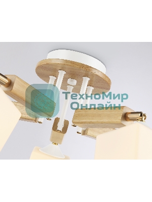 Светильник Ambrella light TR9518/5 WH/GD/FR белый/золото/белый матовый E27*5 max 40W D670*260