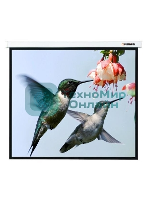 Экран Lumien 280x202см Master Picture LMP-100117 16:9 настенно-потолочный рулонный
