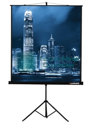 Экран на штативе Lumien Master View 244x244 см Matte White FiberGlass (LMV-100105)