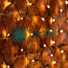 Гирлянда Neon-night 