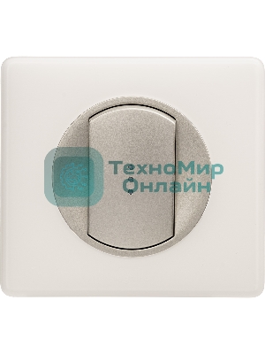 Лицевая панель для выключателя с индикацией титан