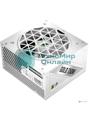 Блок питания 1STPLAYER NGDP GOLD 750W White, ATX 3.1, APFC, 80 PLUS Gold, LLC+DC-DC, full Japan solid-state caps, 120мм fan, full modular, HA-750BA4-WH