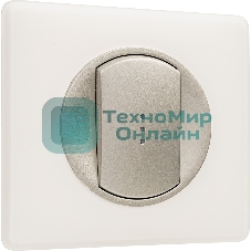 Лицевая панель для выключателя с индикацией титан