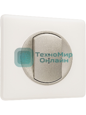 Лицевая панель для выключателя с индикацией титан