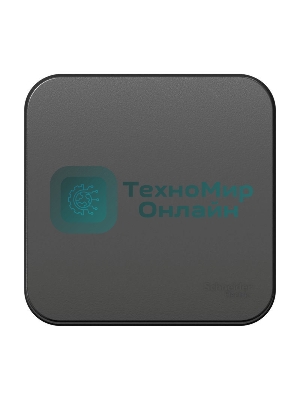 Переключатель 1-кл. ОП Blanca (сх.6) 10А 250 В изол. пласт. антрацит SchE BLNVA106016