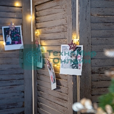 Деревянные прищепки Neon-night 