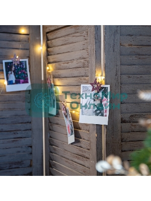 Деревянные прищепки Neon-night 