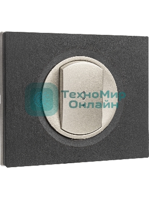 Лицевая панель для выключателя с индикацией титан