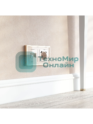 Накладка для двойной розетки Еthernet RJ-45 (айвори акрил)