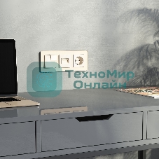Накладка для двойной розетки Еthernet RJ-45 (айвори акрил)
