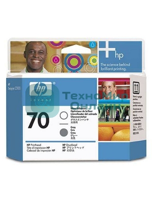 Картридж струйный HP C9410A глянец/серый печатающая головка для HP DJ Z2100/Z3100/PS Pro B9100 (16000стр.)