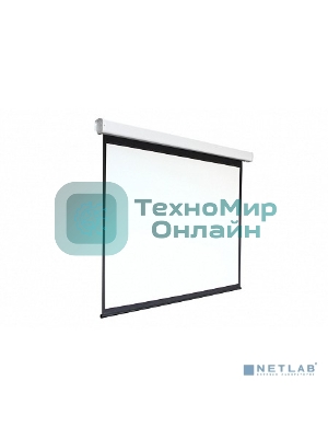 Экран 213x213см Digis Electra-F DSEF-1107 1:1 настенно-потолочный рулонный (моторизованный привод)