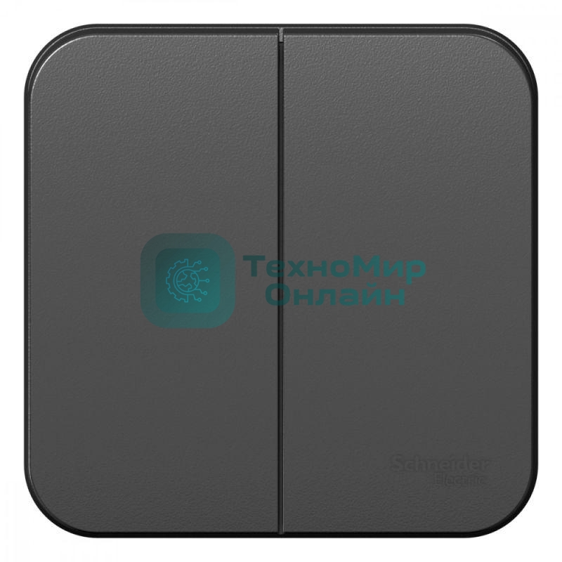 Выключатель 2-кл. ОП Blanca (сх.5) 10А 250 В изол. пласт. антрацит SchE BLNVA105016