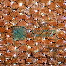 Гирлянда Neon-night 