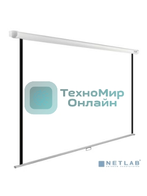 Экран Cactus 220x220см WallExpert CS-PSWE-220x220-WT 1:1 настенно-потолочный рулонный