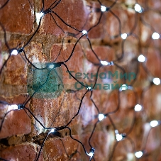 Гирлянда Neon-night 