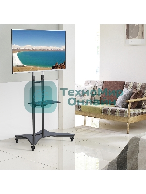 Стойка для телевизора Cactus CS-ST31 черный 37