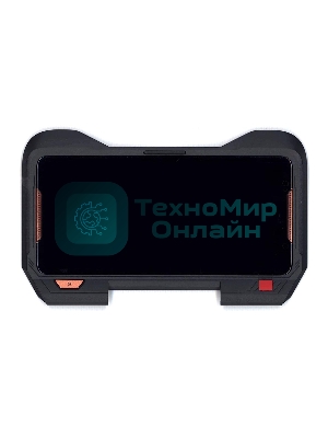 Дисплей для Asus TwinView Dock ZS600KLS черный с рамкой