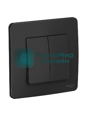 Выключатель 2-кл. СП Blanca (сх.5) 10А 250 В антрацит SchE BLNVS010506