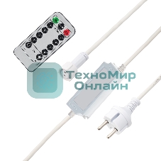 Контроллер с радиопультом для уличных гирлянд Neon-night Сеть и Твинкл, белый