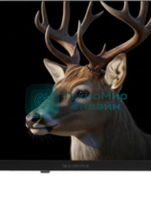 Телевизор TopDevice 24