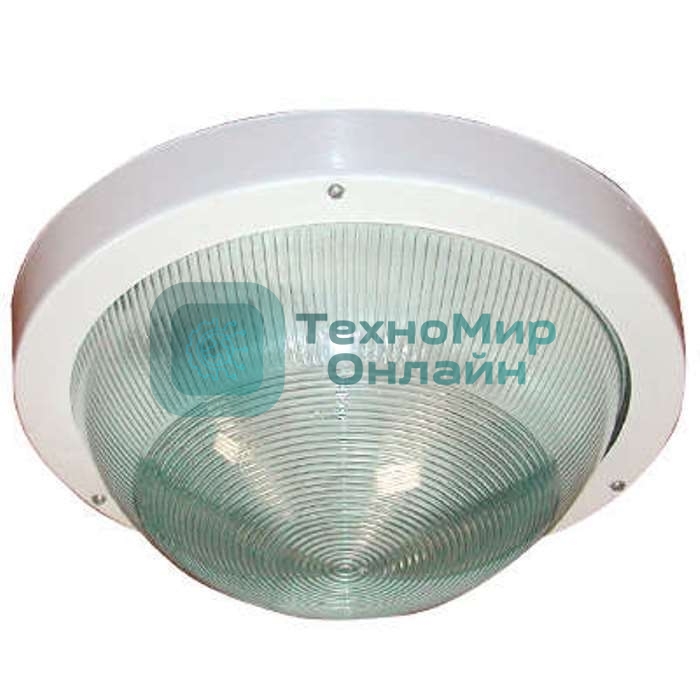 Светильник ЭЛЕТЕХ НПП 03-100-001 