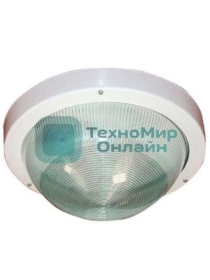 Светильник ЭЛЕТЕХ НПП 03-100-001 