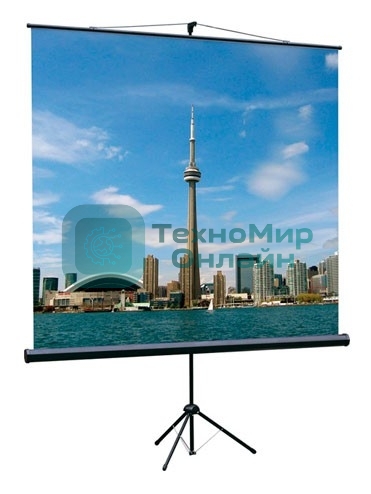 Экран на треноге Lumien 150x150 см Eco View LEV-100101 1:1 напольный рулонный