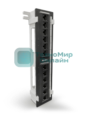 Монтажное оборудование Hyperline PPW-12-8P8C-C5e Патч-панель настенная, 12 портов RJ-45(8P8C), категория 5е, с подставкой