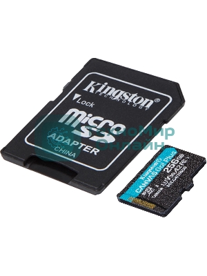Флеш карта microSDXC 256Gb Kingston SDCG4/256Gb Canvas Go! Plus A2 + adapter